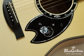 HJ-Fuyuzakura20 A,S/ATB