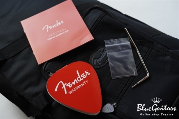 Miyavi Telecaster - Arctic White