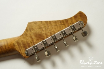 XSC-2 - Seafoam Green/Heavy Aged/Alder/Roasted Flame Maple Neck