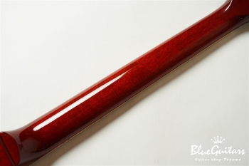 Les Paul Traditional Premium Plus 2019