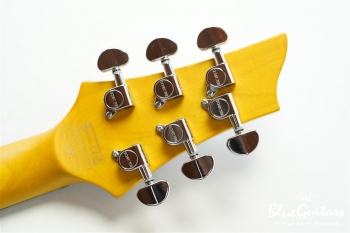 AD-C-6-PLUS - OBB (Ocean Blue Burst)