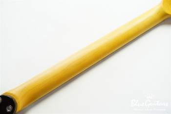 AD-C-6-PLUS - STCB (See-Thru Cherry Burst)