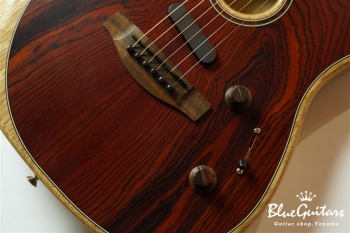American Acoustasonic Stratocaster Cocobolo