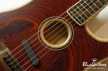 American Acoustasonic Stratocaster Cocobolo