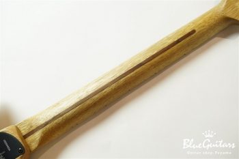 American Acoustasonic Stratocaster Cocobolo