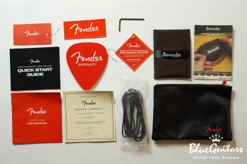 American Acoustasonic Stratocaster Cocobolo