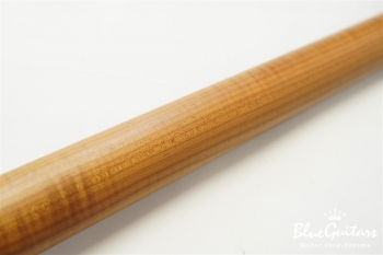 XSC-2 - Black/Heavy Aged/Alder/R/Roasted Flame Maple Neck