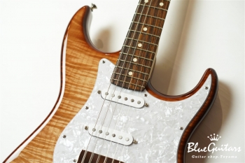 XS-2 - Natural Brown Burst #573 Non Aged/Flame Maple/Ash