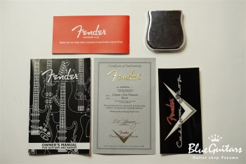 Limited 2-Tone Telecaster Relic - Faded Seafoam Green / Black Back