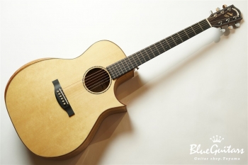 HGAF-5100SE/FMY-C - NA