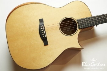 HGAF-5100SE/FMY-C - NA