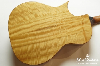 HGAF-5100SE/FMY-C - NA