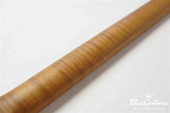 XTC-1 Butter Scotch Blonde #2061/Heavy Aged/Ash/Roasted 4A Grade Flame Maple Neck