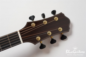 Mod-DC #21008 German Spruce / Indian Rosewood
