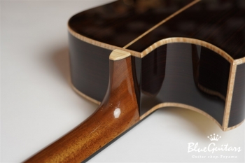 Mod-DC #21008 German Spruce / Indian Rosewood