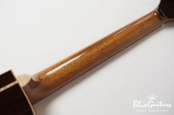 Mod-DC #21008 German Spruce / Indian Rosewood