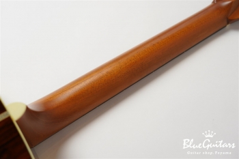 D-28B Brazilian Rosewood