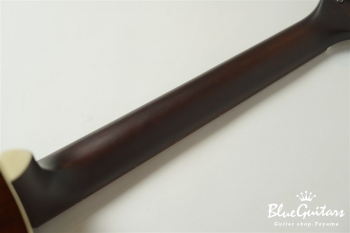 HJ-5080SE - Sunburst