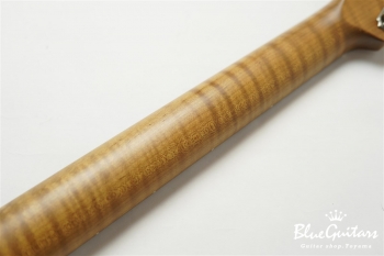 XSC-2 - Dark Lake Placid Blue over 3TB / Heavy Aged #1050