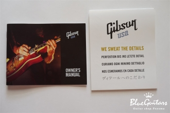 Firebird Studio Non-Reverse 2011 - Pelham Blue