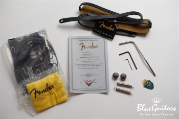 Stratocaster Pro Closet Classic