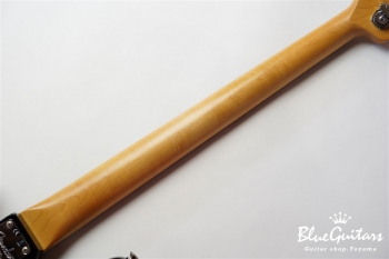 AMERICAN PROFESSIONAL PRECISION BASS