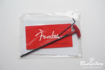 AMERICAN PROFESSIONAL PRECISION BASS