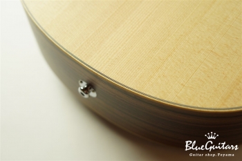 GS Mini-e Rosewood