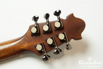 Cirrus Curvedtop hollow - Organic Texture