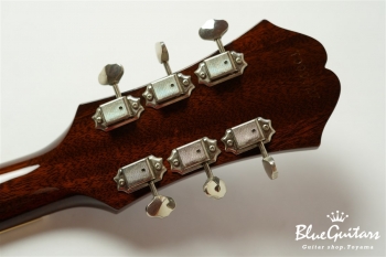 Limited Elitist 1966 Riviera E-360TD