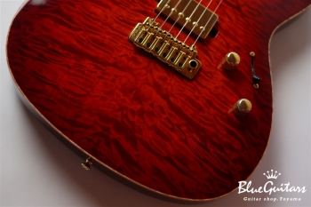 DS496IR EM/AT/A-MAHO - RBR