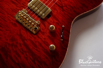 DS496IR EM/AT/A-MAHO - RBR