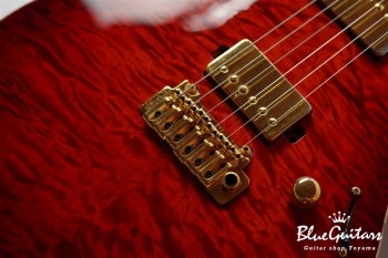 DS496IR EM/AT/A-MAHO - RBR