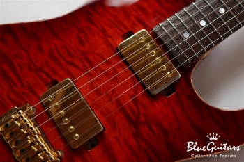 DS496IR EM/AT/A-MAHO - RBR