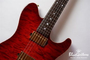 DS496IR EM/AT/A-MAHO - RBR