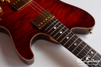 DS496IR EM/AT/A-MAHO - RBR