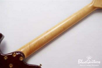 DS496IR EM/AT/A-MAHO - RBR