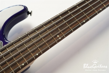 Vibe Standard-5 19 pitch #116 - Eggplant Burst