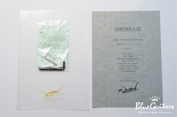 Vibe Standard-5 19 pitch #116 - Eggplant Burst