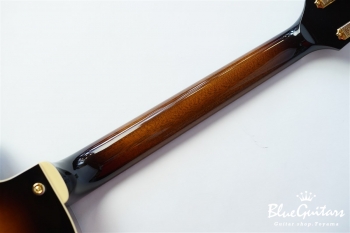 Ladybug SM-C HB - Vintage Sunburst #RZ0444　【JGF】