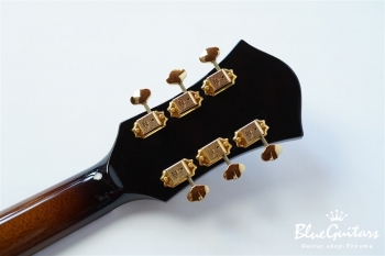 Ladybug SM-C HB - Vintage Sunburst #RZ0444　【JGF】