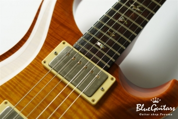 2004年製 McCarty Brazilian Limited Edition #307/500