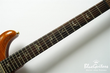2004年製 McCarty Brazilian Limited Edition #307/500