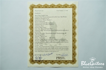 Private Stock Paul’s Graphite Guitar #5537 - Honey Gold Smoked Burst