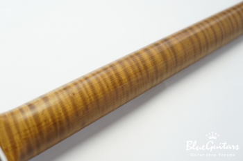 Model T. Eis - Kenji Hiroi Signature Model