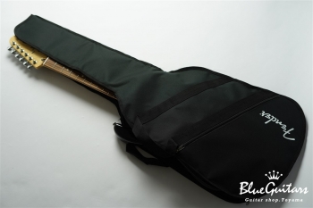 Player Stratocaster PF - Black