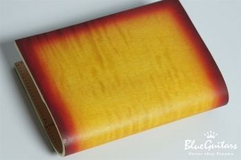 The Book Case bok-001 - sunRosso