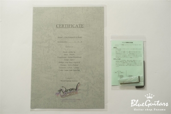 Vibe Standard-4 #119 - Burnt Candy Apple Red