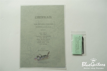 Vibe Standard-5 #117 - Surf Green