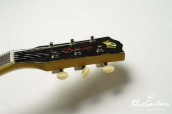 Portrait Line No.1 Special / TV Yellow #1 038